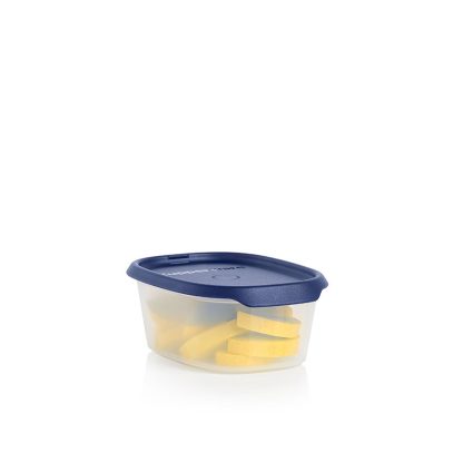 Tupper Ware One Touch Fresh® Oval | 2¼ cup / 540 mL